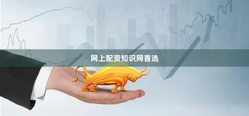 网上配资知识网首选