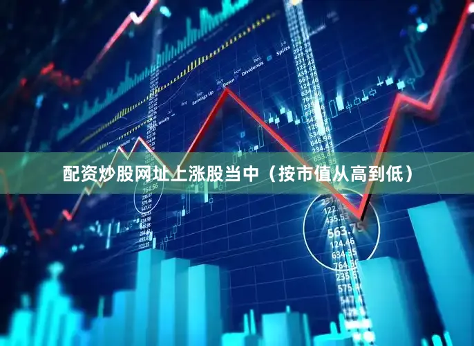 配资炒股网址　　上涨股当中（按市值从高到低）